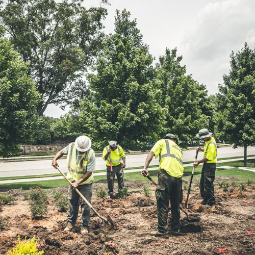 SiteOne landscaping site